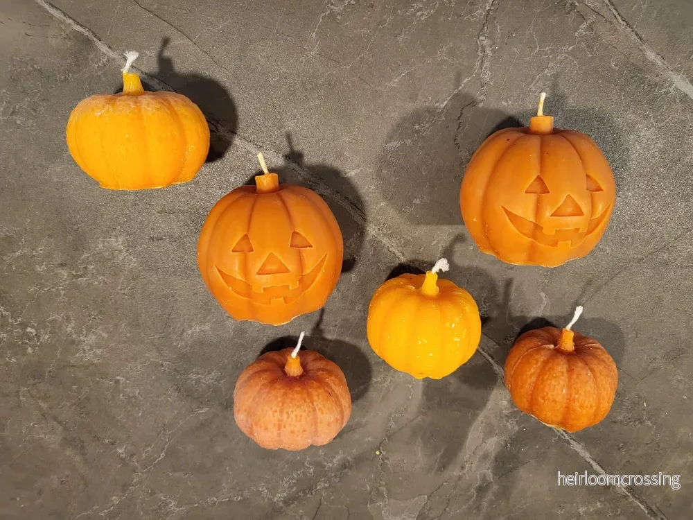 Pumpaljus Pumpaljus