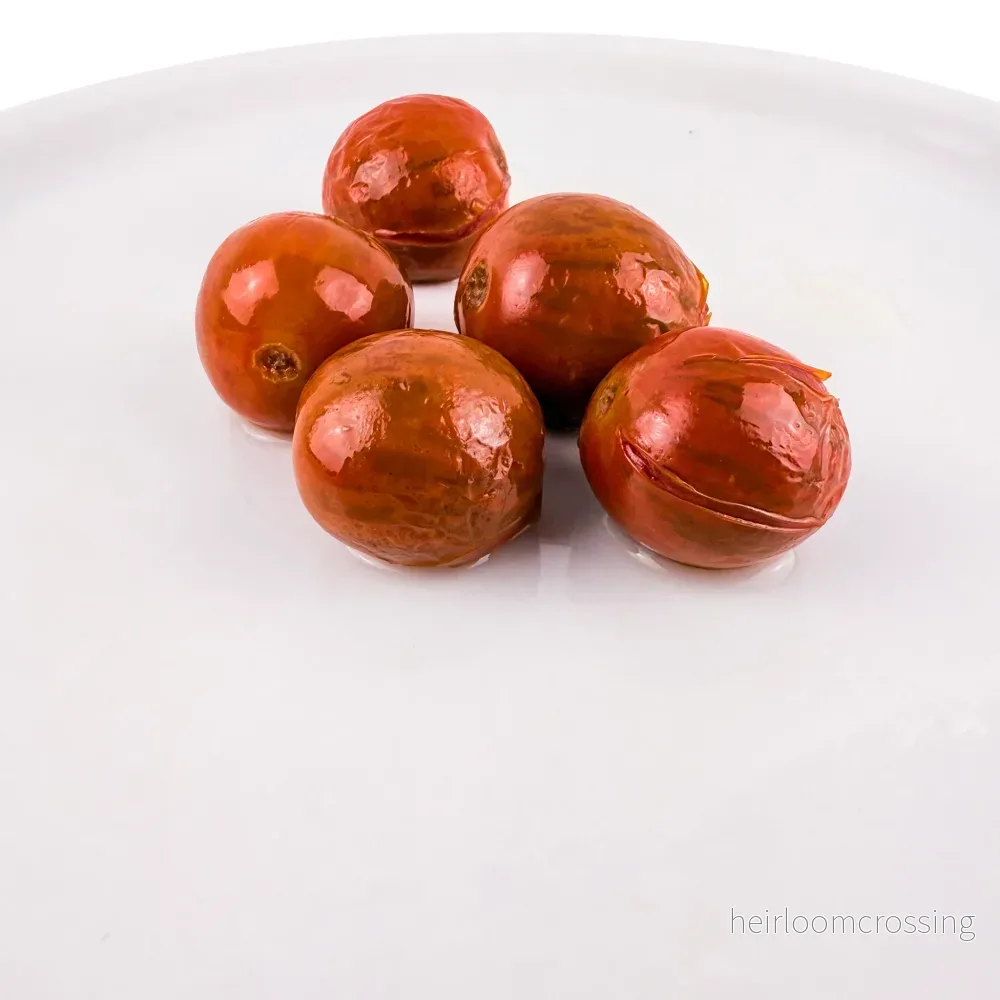 Pomodoro tigrato al naturale - Bild 3