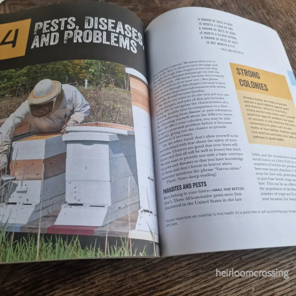 The Beginner's Guide to Beekeeping - Bild 3