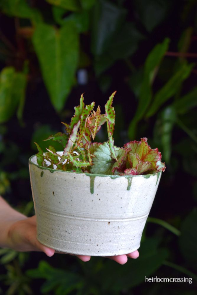 Handgjord kruka | 8,5 cm