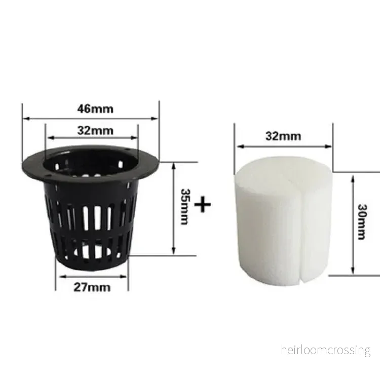 Nätkruka 32 mm med odlingssvamp – 20 pack Nätkruka 32 mm med odlingssvamp – 20 pack