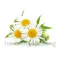 Anti-Aging Eye Serum H&B - Bild 3