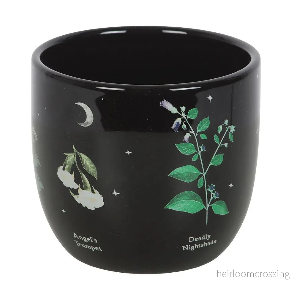 Venom & Vines Poisonous Plants Ceramic Plant Pot - Bild 3