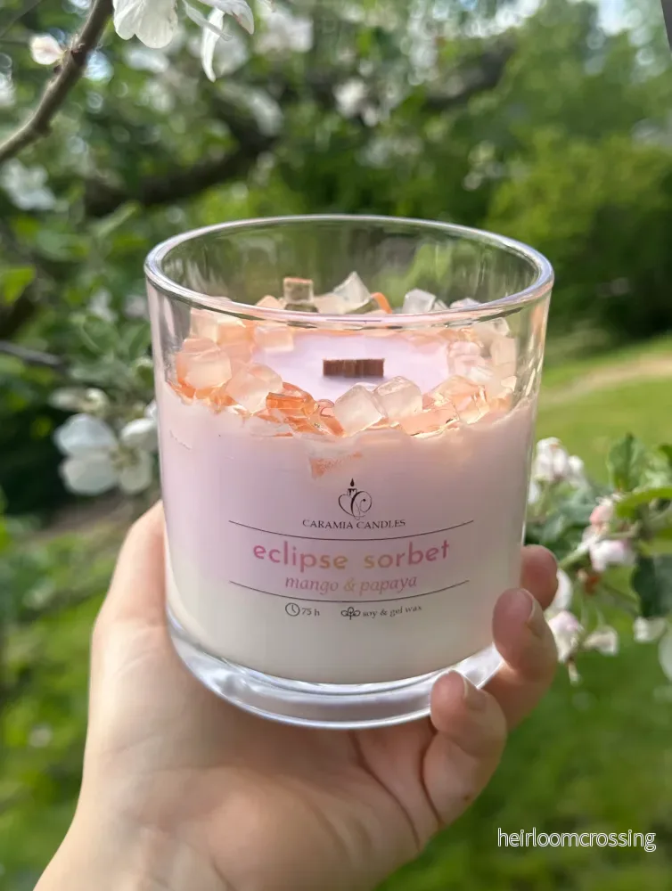 Eclipse Sorbet – mango & papaya Eclipse Sorbet – mango & papaya