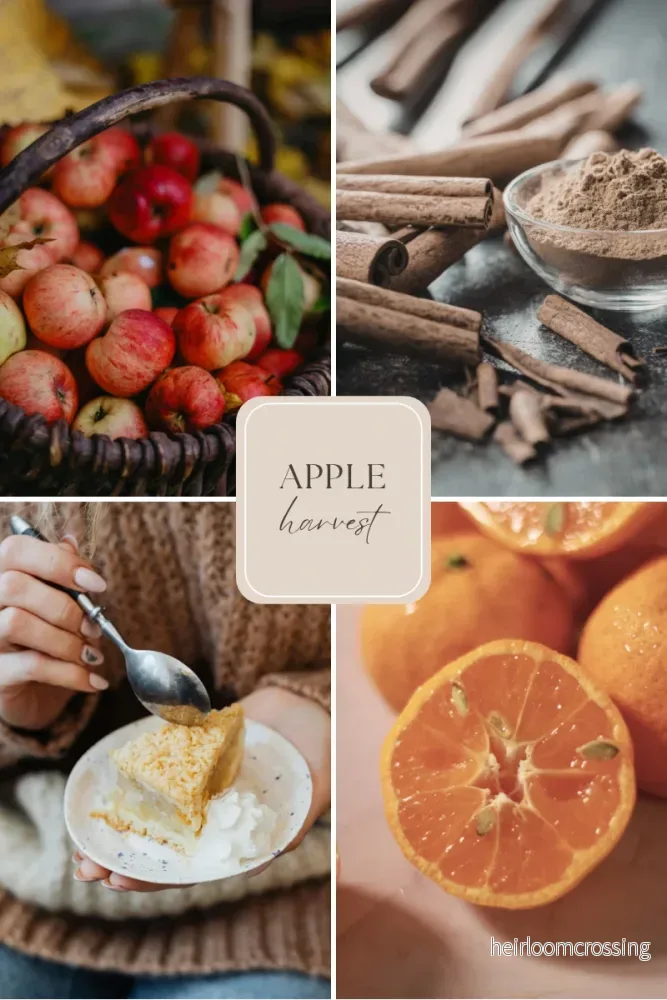 Doftvax – äpple, kanel & apelsin för aromalampa – Apple Harvest (4 Doftpraliner™ ) - Bild 2