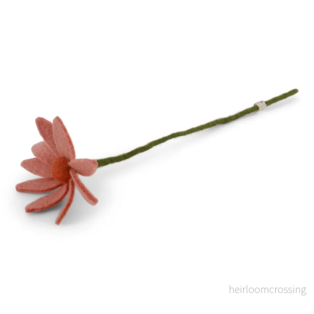 Tovad aprikosfärgad rosenskära Tovad aprikosfärgad rosenskära