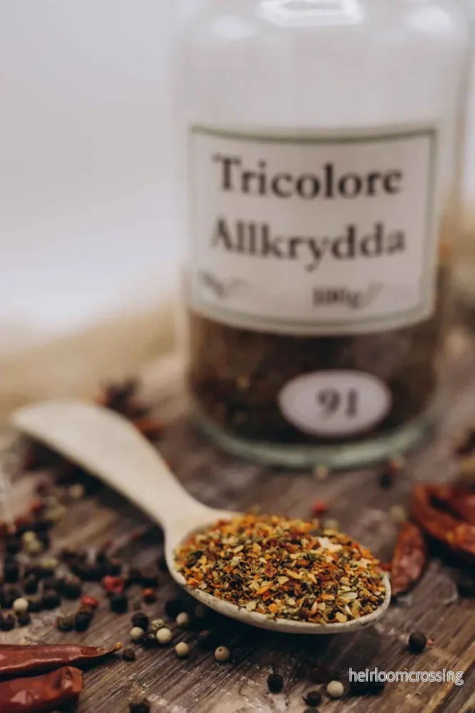 Tricolore Allkrydda