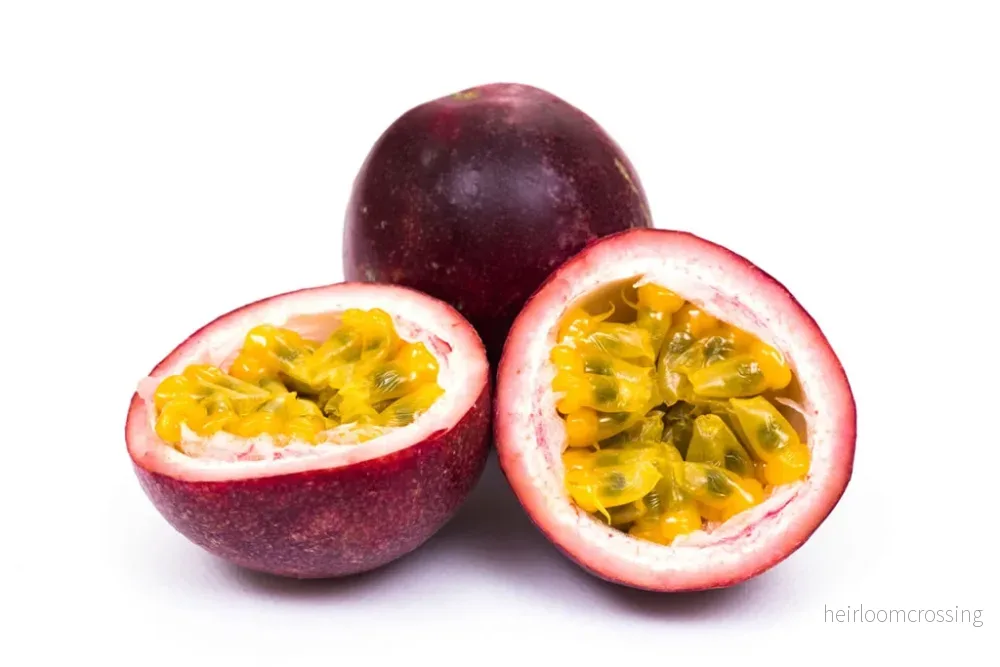 Lila passionsfrukt (Passiflora edulis edulis) | frön, 10 st.