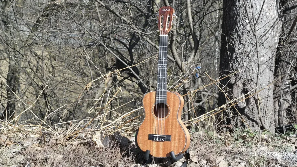 LOMA tenorukulele - Bild 3