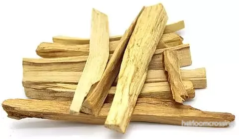 Palo Santo – Heligt trä Palo Santo – Heligt trä