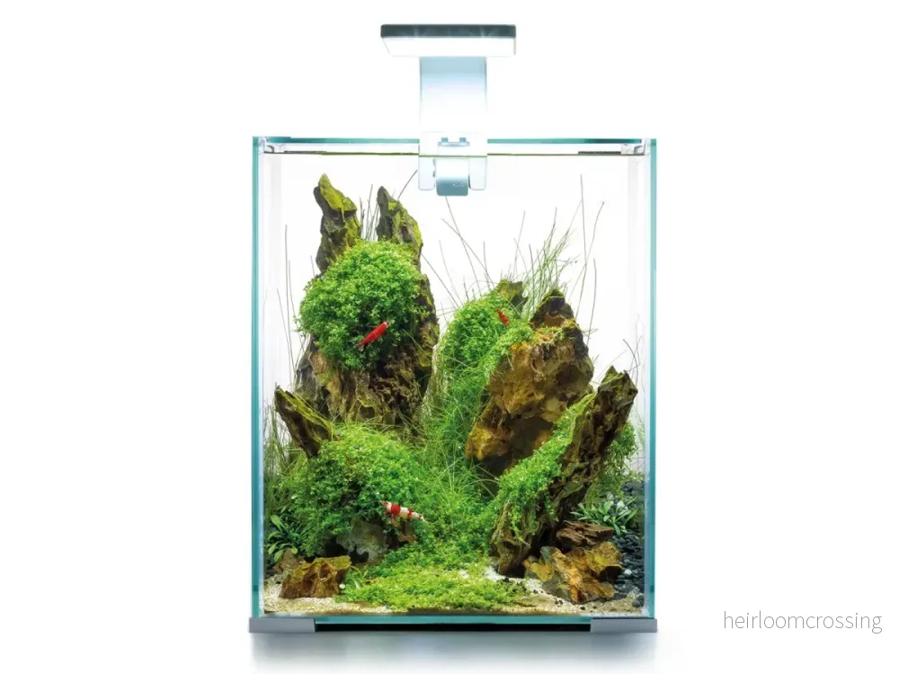Aquael Shrimp Set Day&Night 30, vit