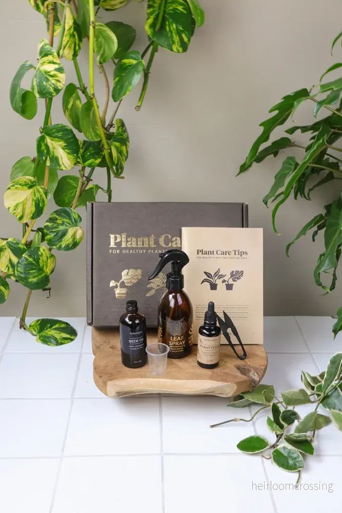 Plantvårdsset - Bild 3