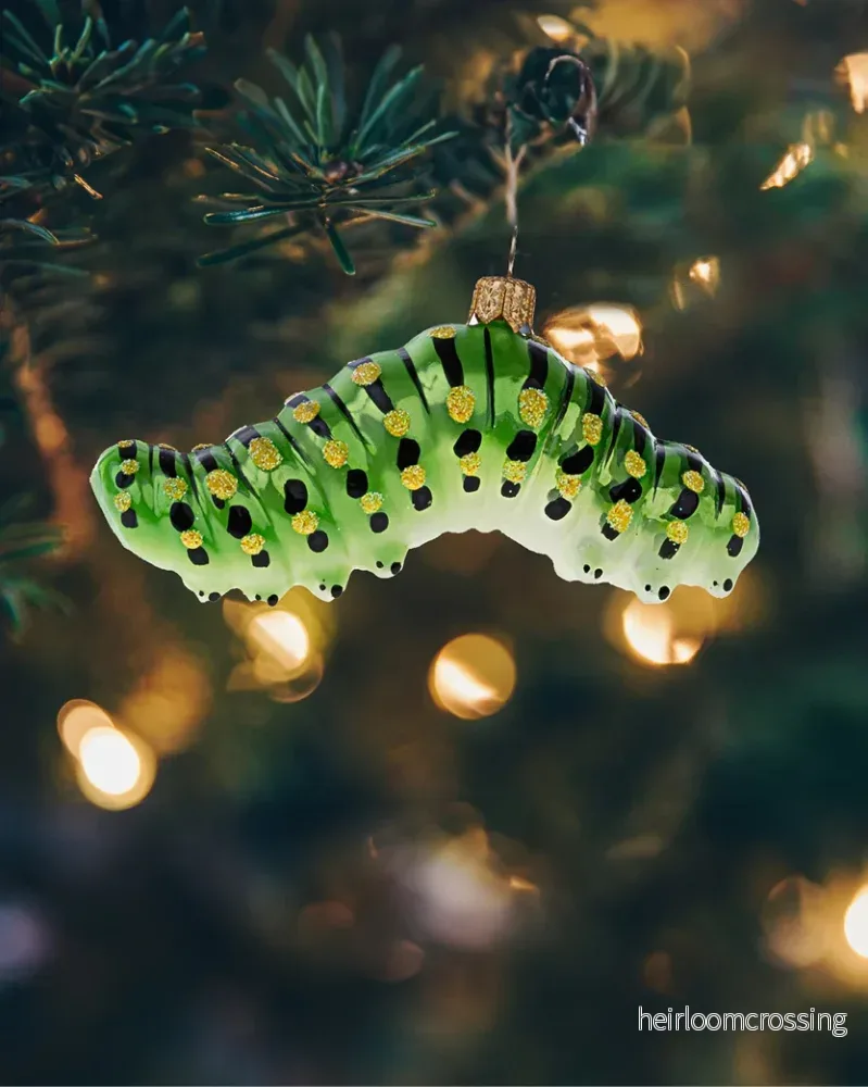 Caterpillar (julkula) Caterpillar (julkula)