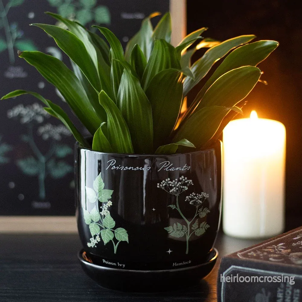 Venom & Vines Poisonous Plants Ceramic Plant Pot