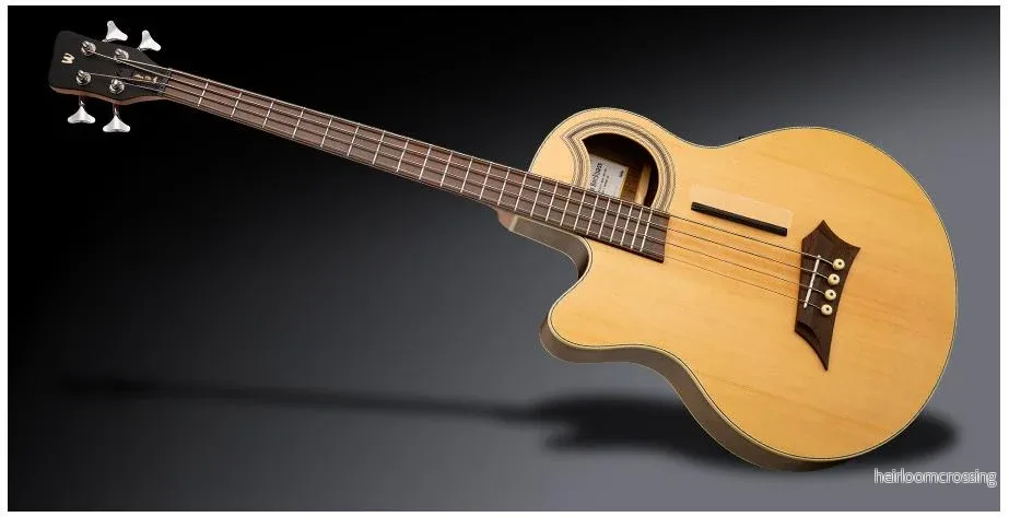 RockBass Alien Deluxe Hybrid Thinline, 4-strängad