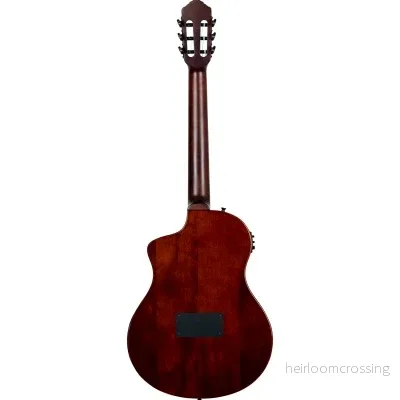 Klassisk gitarr med mikrofon, Tunn kropp, Smal hals, Glansig naturfinish - Bild 3
