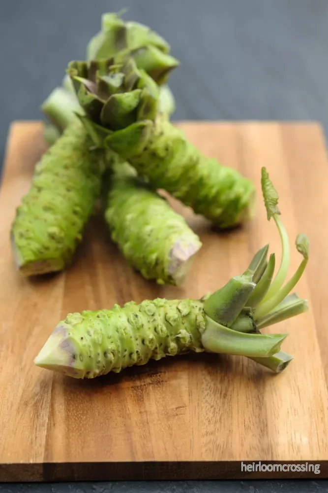 Färsk wasabi från Japan 60-80 gr per styck
