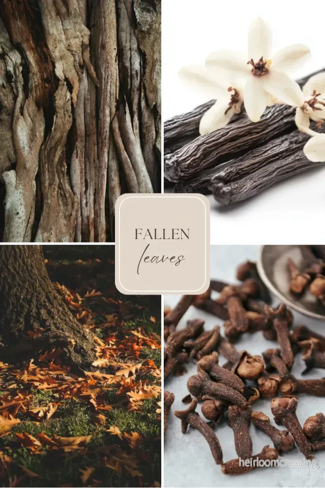 Doftvax – sandelträ, vanilj & mysk för aromalampa – Fallen Leaves (4 Doftpraliner™) - Bild 2