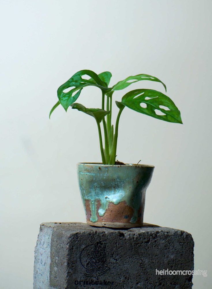 Keramikkruka 'squeeze' | 6cm | Stengodslera - Bild 3