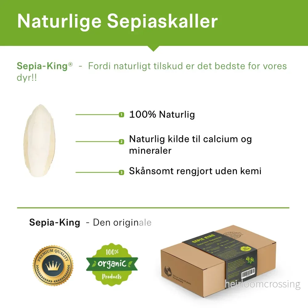 Bläckfiskskal, stor låda (250 g) - Bild 2