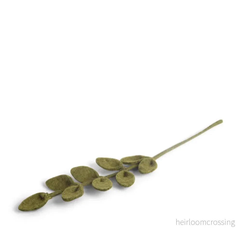 Tovad gren med mörkgröna blad.
