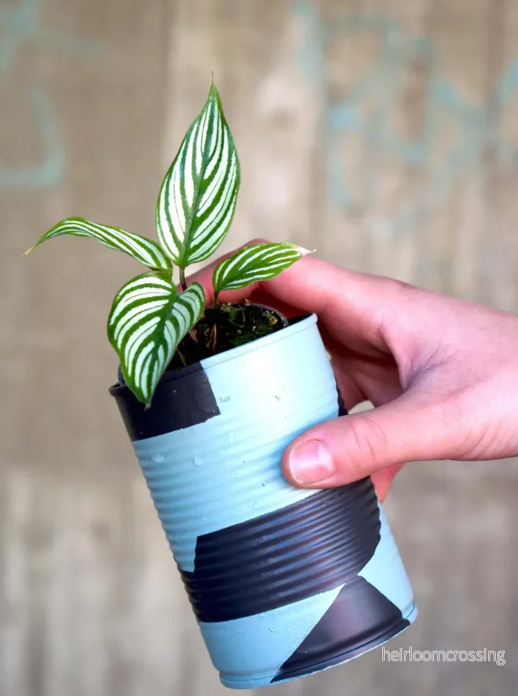 Upcycle krukor vår 2024 - Bild 3