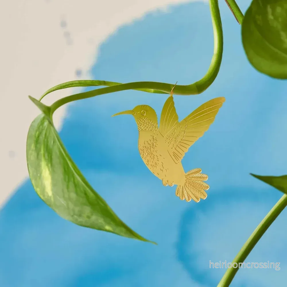 Kolibri Kolibri