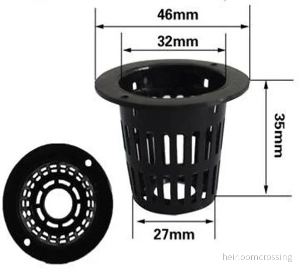 Nätkruka 32 mm med odlingssvamp - 20 pack - Bild 3