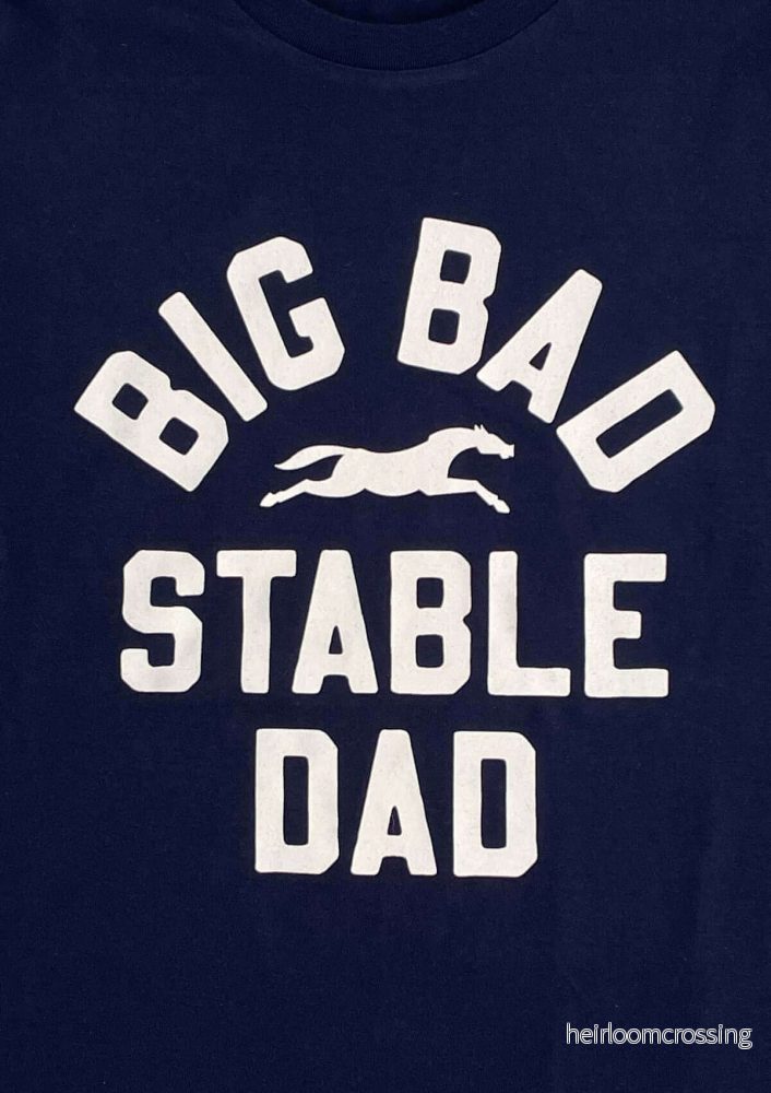 BIG BAD STABLE DAD navy blå T-Shirt - Bild 2