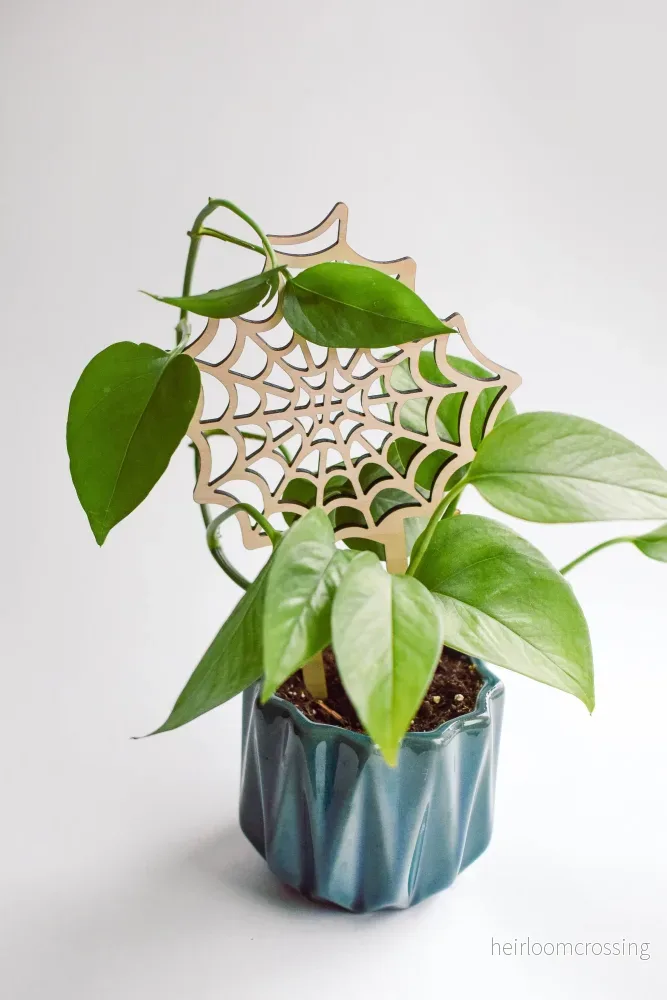Växtstöd litet - "Spider web" - Bild 2