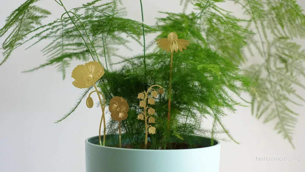 Trädgårdsblommor - Bild 2