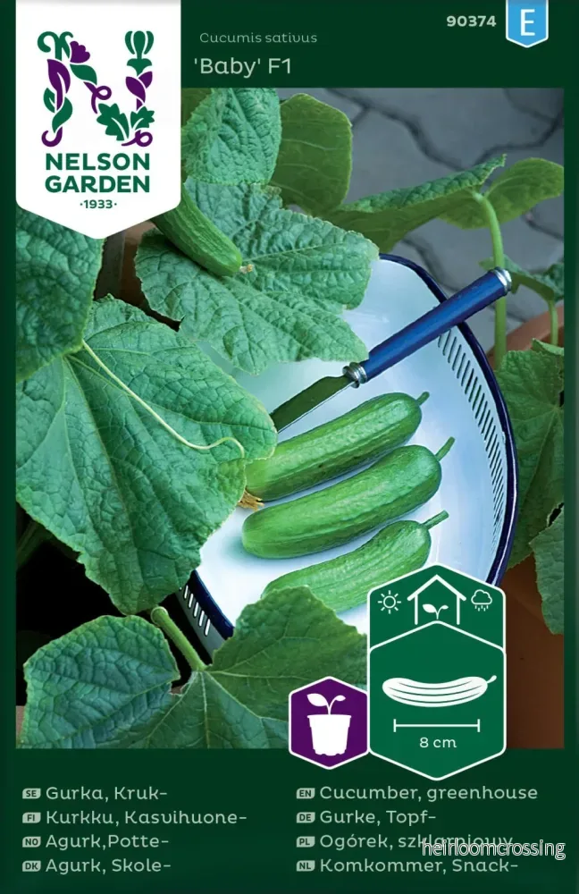 Krukgurka ´Baby`F1 Nelson Garden 90374