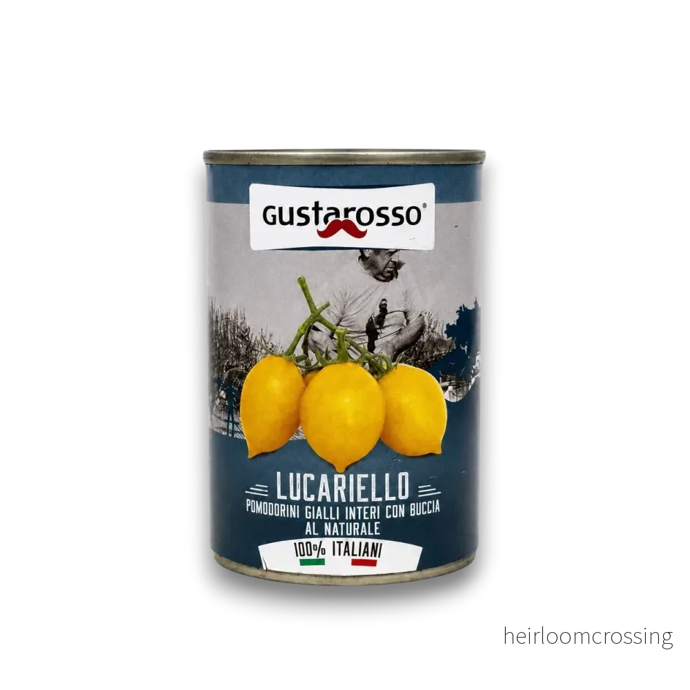 Lucariello (Gula små tomater)