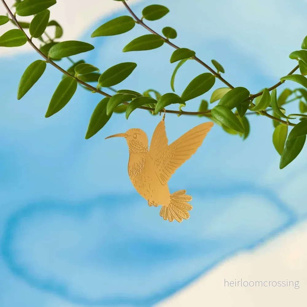 Kolibri - Bild 2