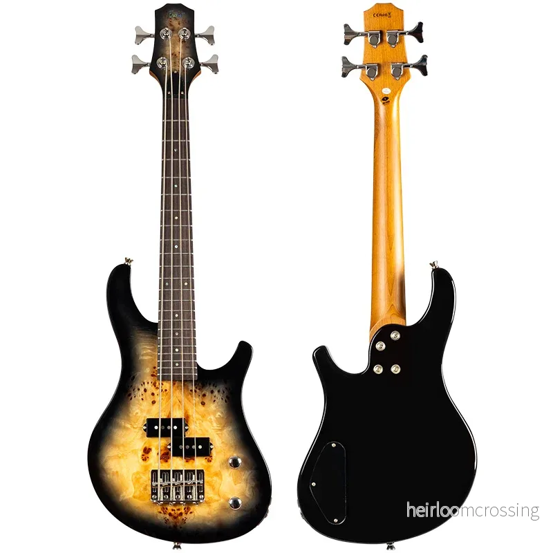 Mini Bass PBR - Bild 2