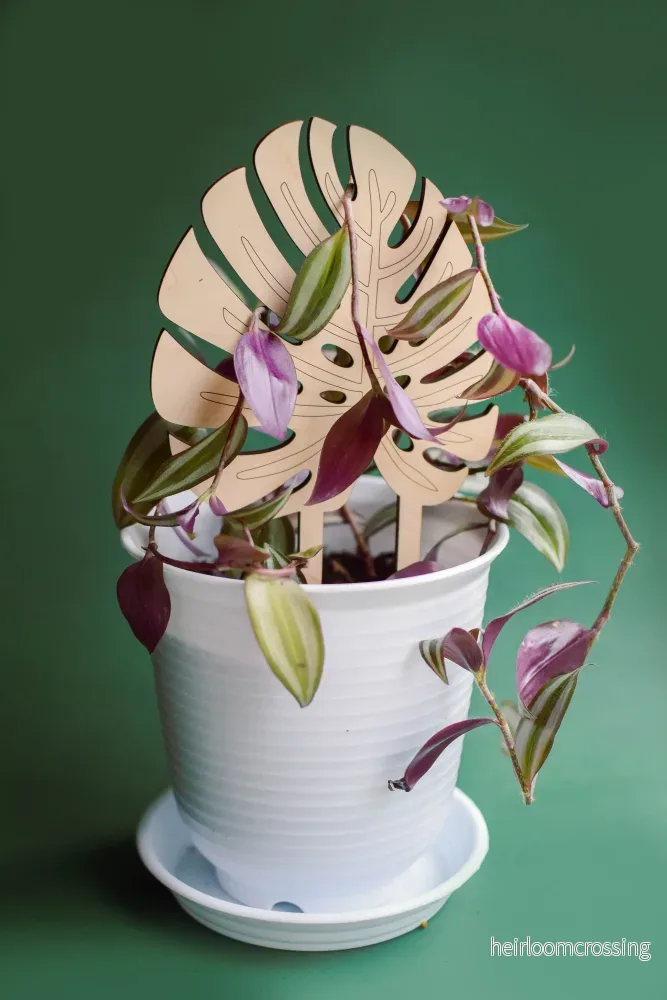 Växtstöd – "Monstera" Litet - Bild 2