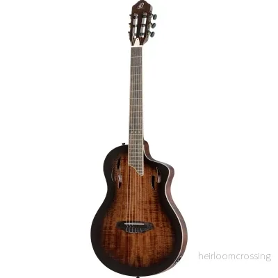 Klassisk gitarr med mick, Thin body, Slim neck, Gloss Burst Finish