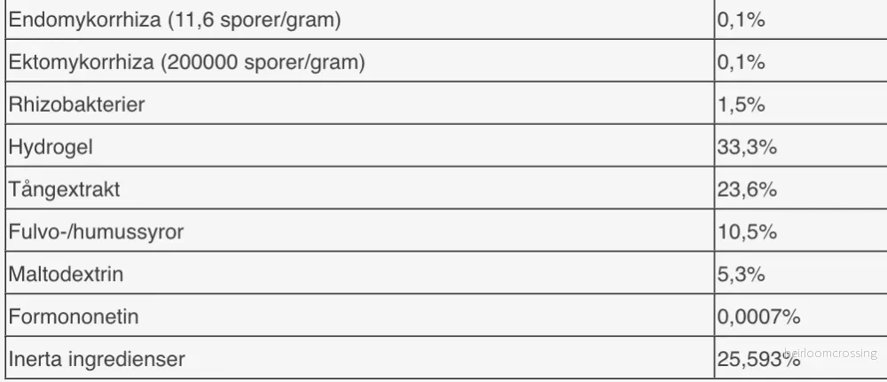 Mycorrhiza (Nyttosvamp) - Bild 3