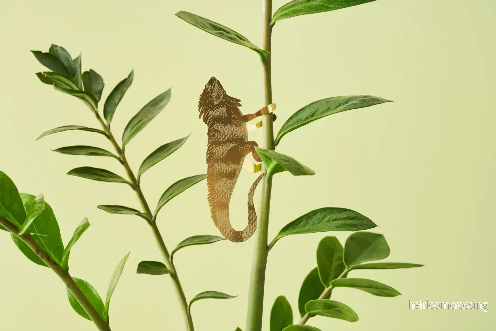 leguan (stor) leguan (stor)