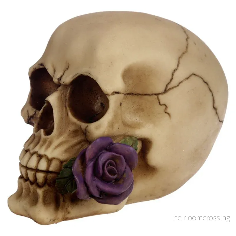 Skull & Bones With Single Purple Rose Skull & Bones With Single Purple Rose