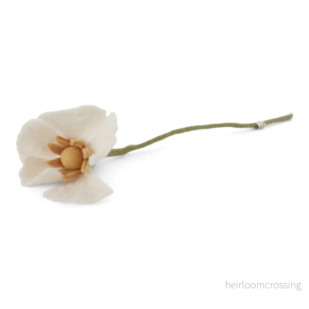 Vallmoblomma – vit Vallmoblomma – vit