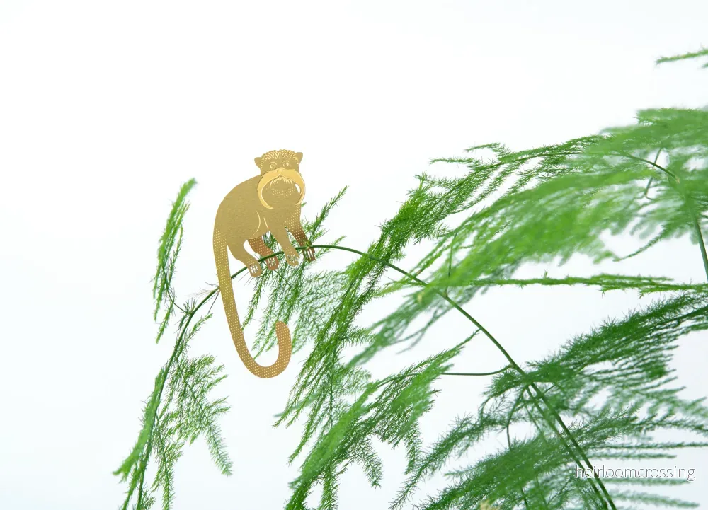 Tamarind - Bild 2