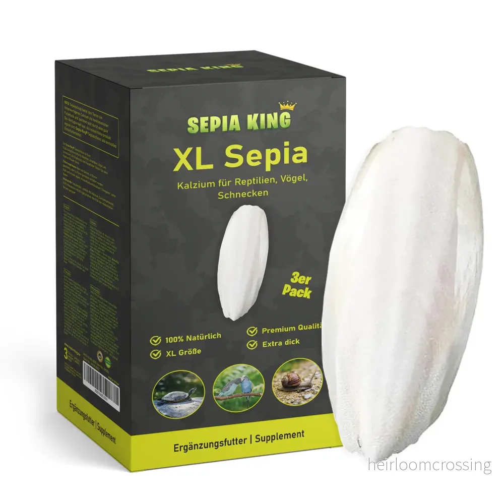 Bläckfiskskal XL (3 st.) Bläckfiskskal XL (3 st.)