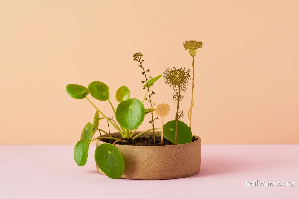 Vilda blommor Vilda blommor