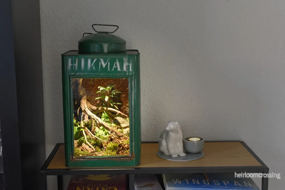 Skogsterrarium - Bild 3