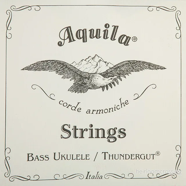 Thundergut – Till basukulele 18-21″ – 5-strängad
